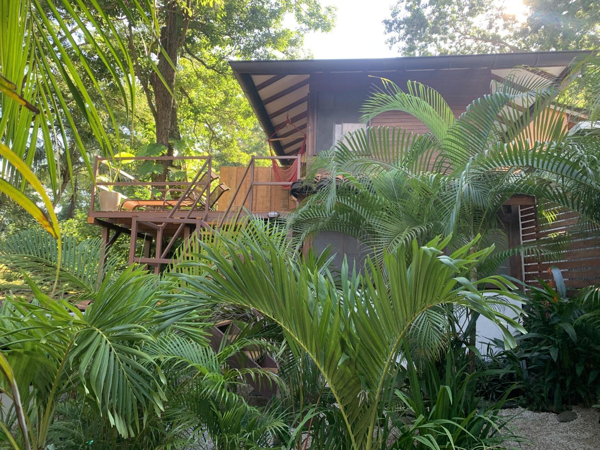 The Beach Bungalows Tamarindo- Adults Only Room photo