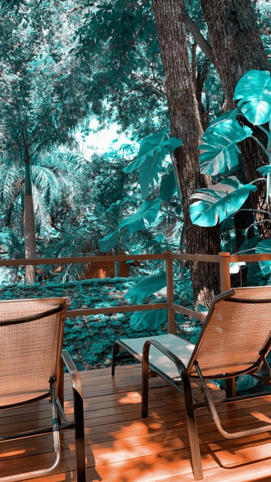 The Beach Bungalows Tamarindo- Adults Only Room photo